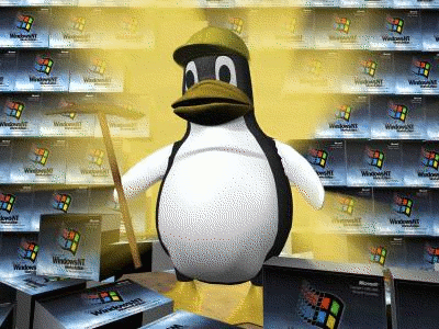 Pinguin-Bild